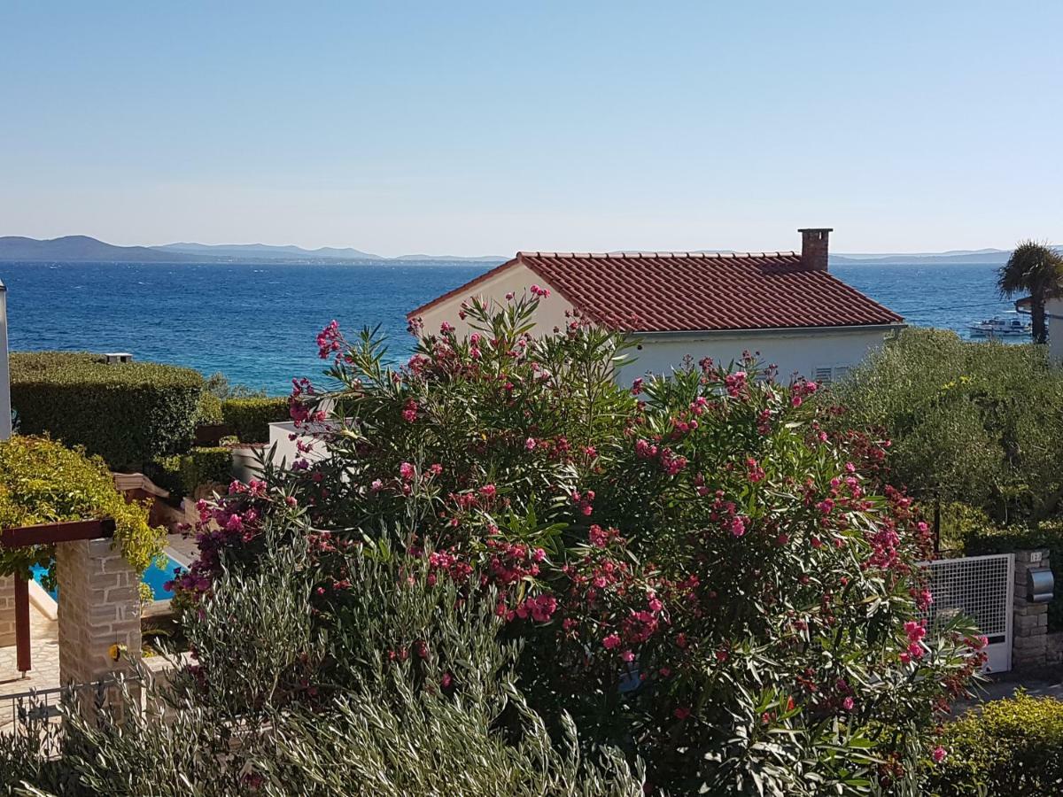 Apartman Roko Petrcane Bagian luar foto